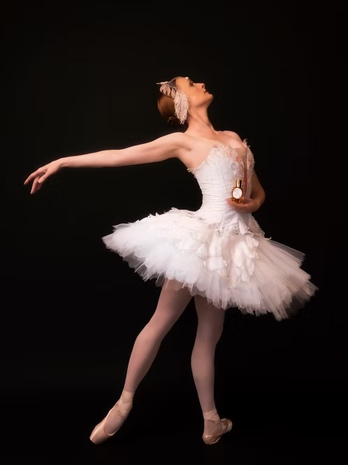 Reine Des Cygnes
