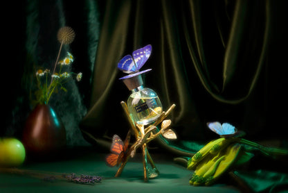 Butterfly Tamer