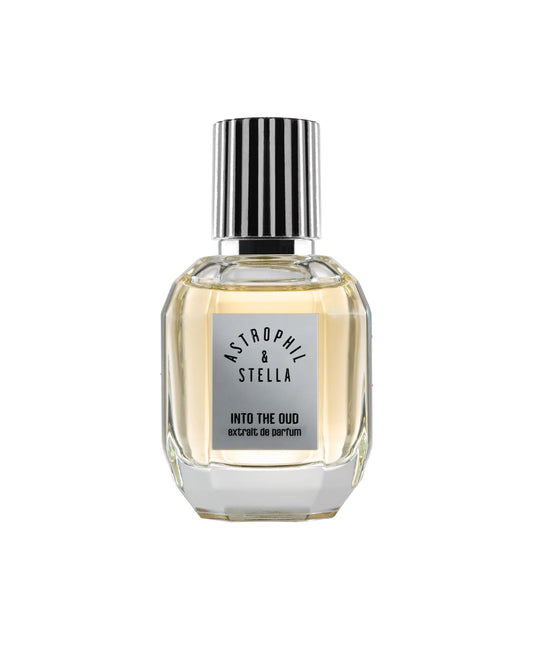 Into the Oud