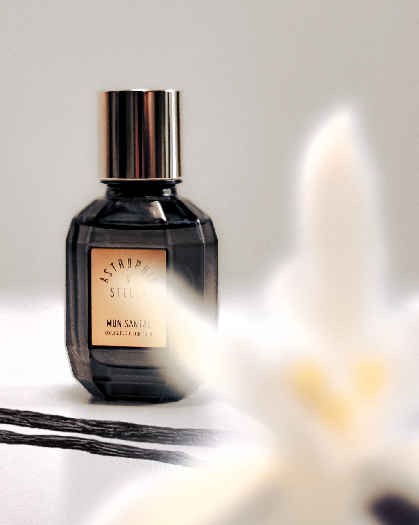 Mon Santal